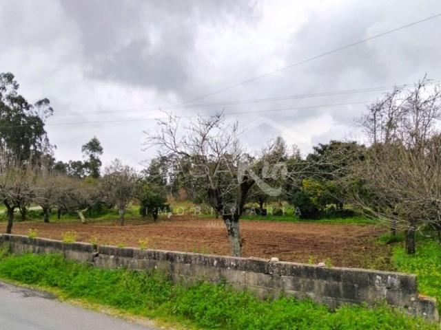 Terrenos Vagos Vagos DLS100258379