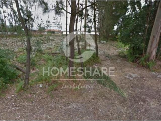 Terrenos Vagos Vagos DLS101435296