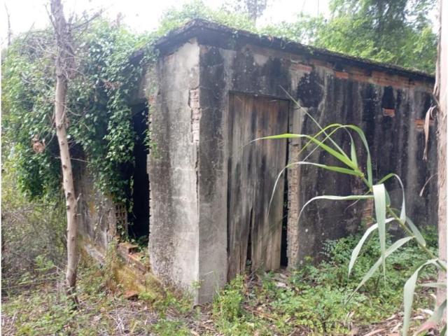 Terrenos Vagos Vagos DLS101345489