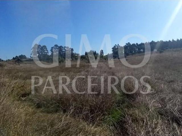 Terrenos Vagos Vagos DLS102767918