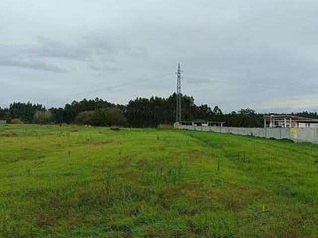 Terrenos Vagos Aveiro DLS89700383