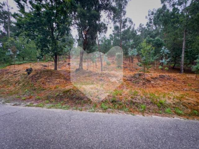 Terrenos Valença Valença DS97120361