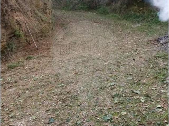 Terrenos Valença Valença DS103022720