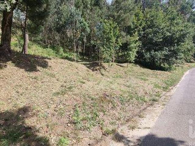 Terrenos Valenca Viana Do Castelo DLS98150782