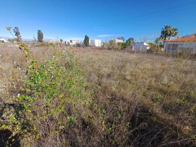 Terrenos Valencia Valencia 101399230