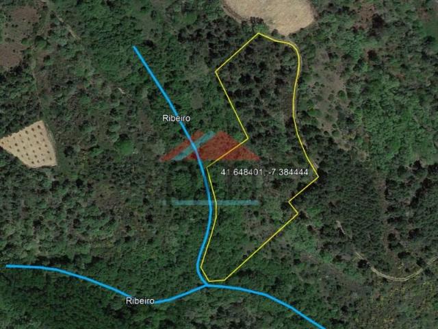 Terrenos Valpaços Valpaços DLS97121220