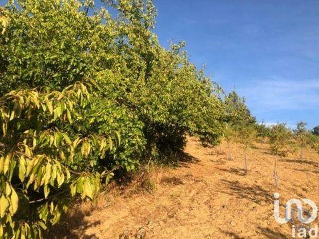 Terrenos Vinhais Bragança 5320 301 DS89932033