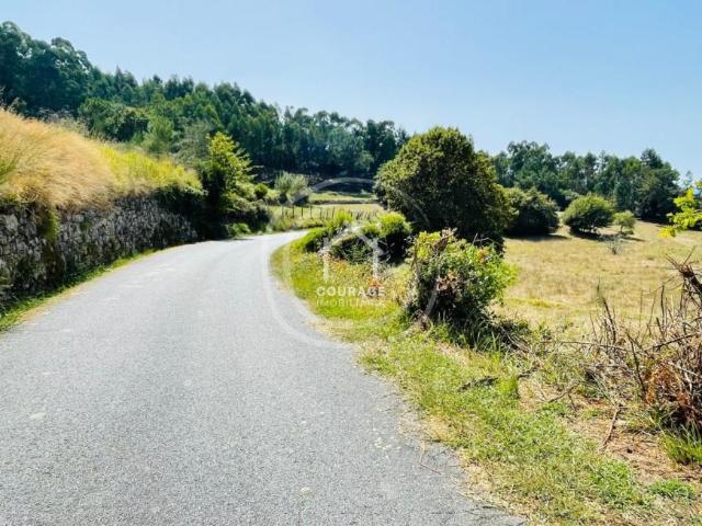 Terrenos Viana do Castelo Paredes de Coura 4940 DLS99825825