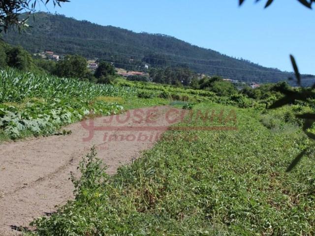 Terrenos Viana do Castelo Viana do Castelo DLS87639407