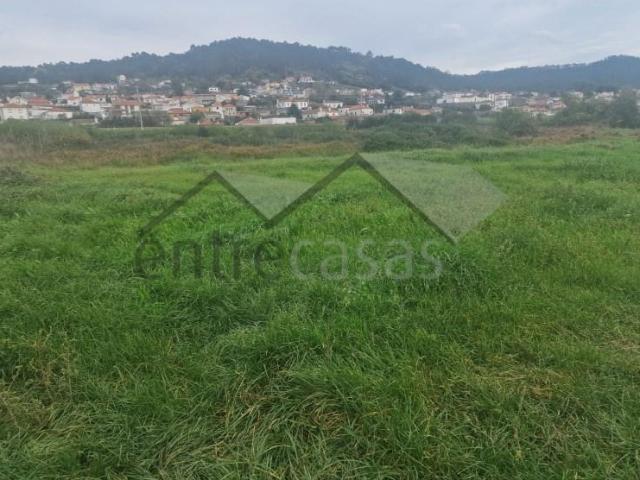 Terrenos Viana do Castelo Viana do Castelo DLS90743648
