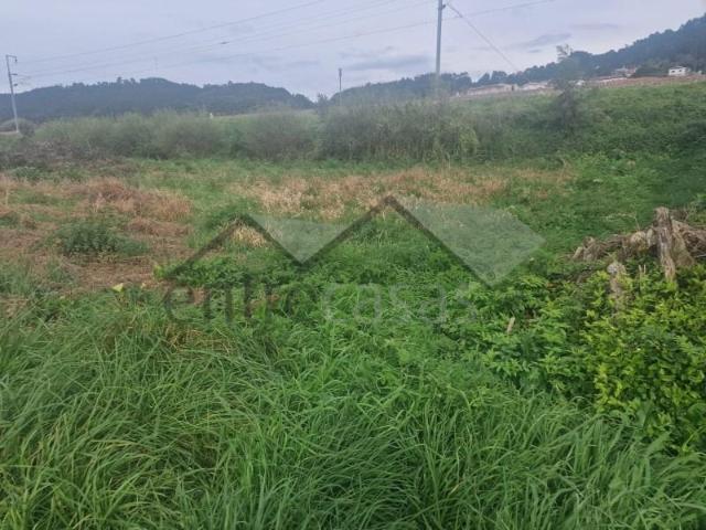 Terrenos Viana do Castelo Viana do Castelo DLS90744411