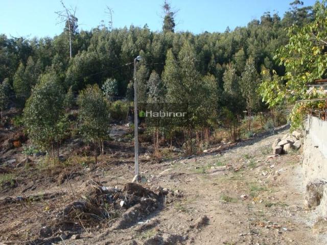 Terrenos Viana do Castelo Viana do Castelo DLS97485688