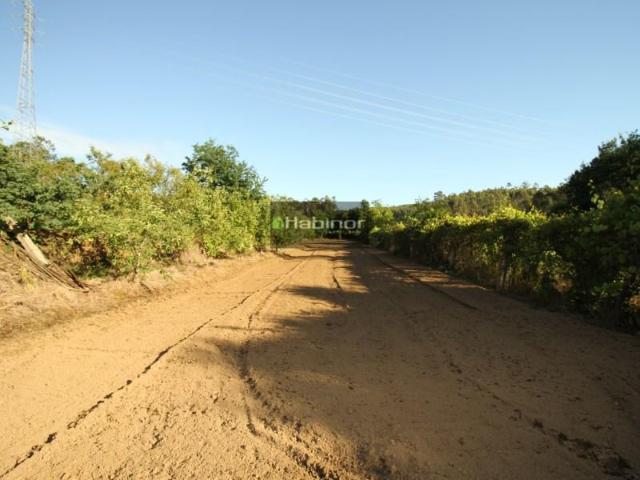 Terrenos Viana do Castelo Viana do Castelo DLS97122739