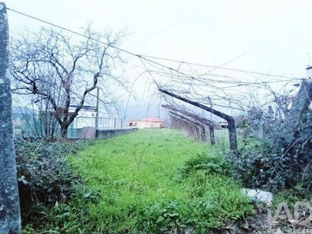 Terrenos Viana Do Castelo Viana Do Castelo DLS98716397