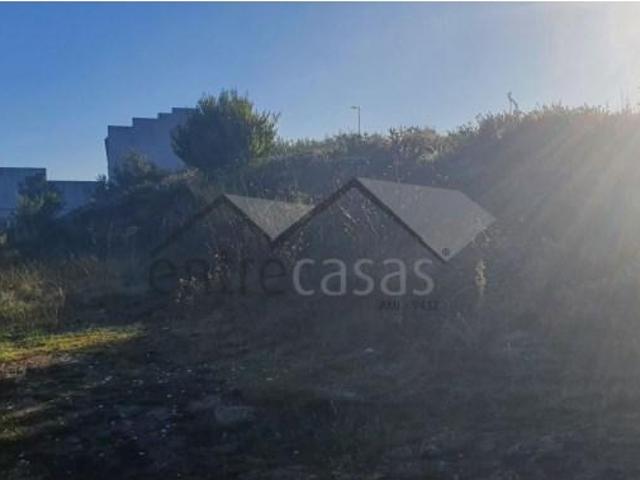 Terrenos Viana do Castelo Viana do Castelo DLS98901474