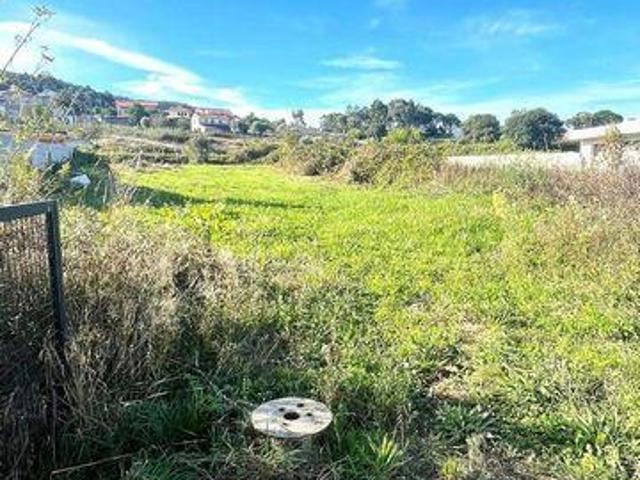 Terrenos Viana Do Castelo Viana Do Castelo DS94893518