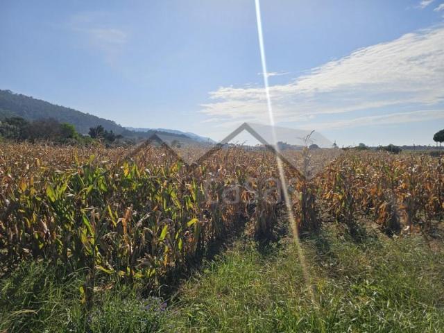 Terrenos Viana do Castelo Viana do Castelo DS95593644
