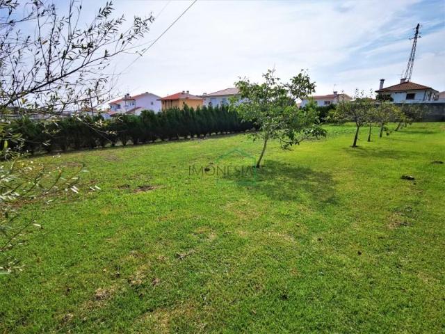Terrenos Viana do Castelo Viana do Castelo DS102362271