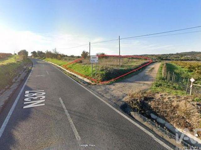 Terrenos Vidigueira Beja DS96891275