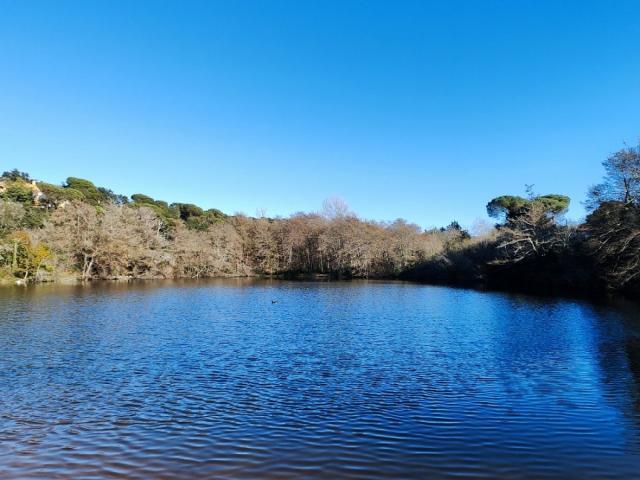 Terrenos Vidreres Girona 87961214