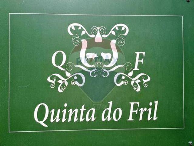 Terrenos Vieira Do Minho Braga DLS94608596