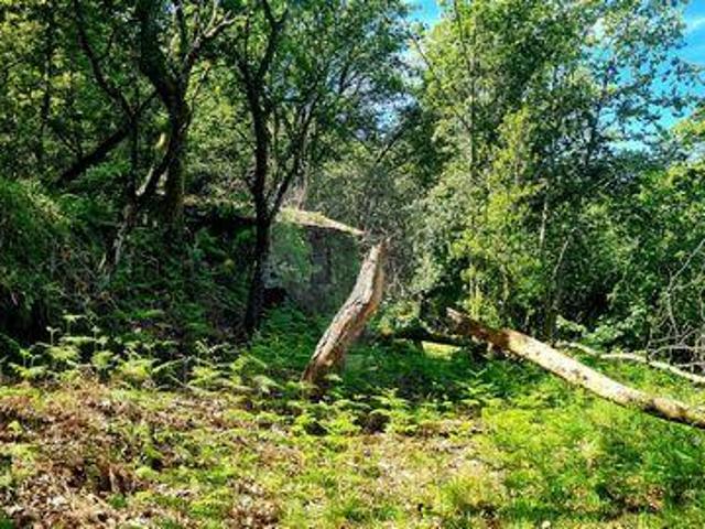 Terrenos Vieira Do Minho Braga DLS94608823