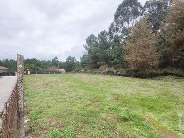 Terrenos Vila Nova De Cerveira Viana Do Castelo DLS98150549