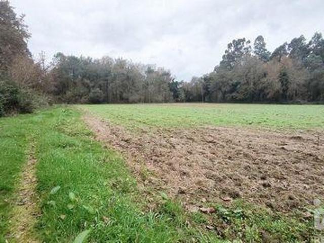 Terrenos Vila Nova De Cerveira Viana Do Castelo DLS98150973