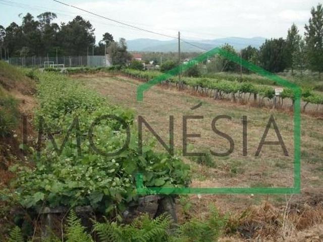 Terrenos Vila Nova de Cerveira Vila Nova de Cerveira DLS102238509