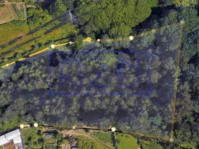 Terrenos Vila Nova de Gaia Vila Nova de Gaia DLS101785611