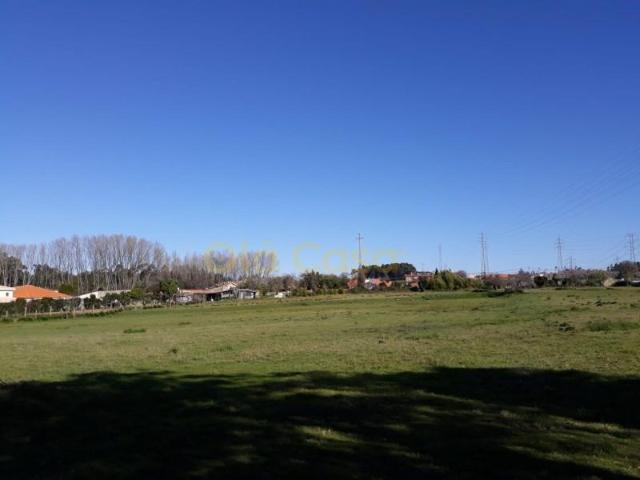 Terrenos Vila Nova de Gaia Vila Nova de Gaia DS101125889
