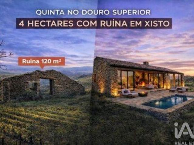 Terrenos Vila Nova De Foz Coa Guarda DS100953112