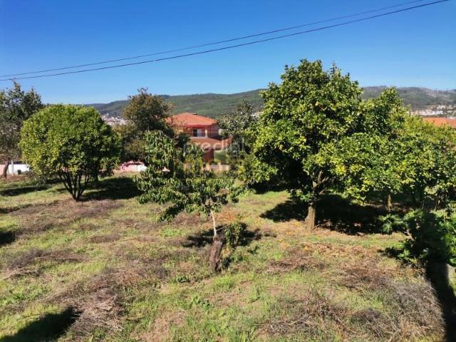 Terrenos Vila Nova de Famalicão Vila Nova de Famalicão DS94747537
