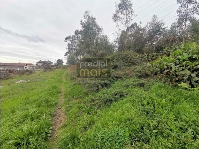 Terrenos Vila Nova de Famalicão Vila Nova de Famalicão DS97118524