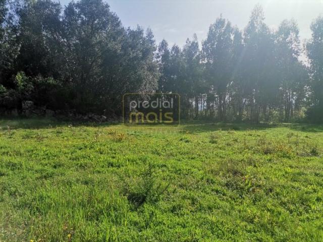 Terrenos Vila Nova de Famalicão Vila Nova de Famalicão DS98277489