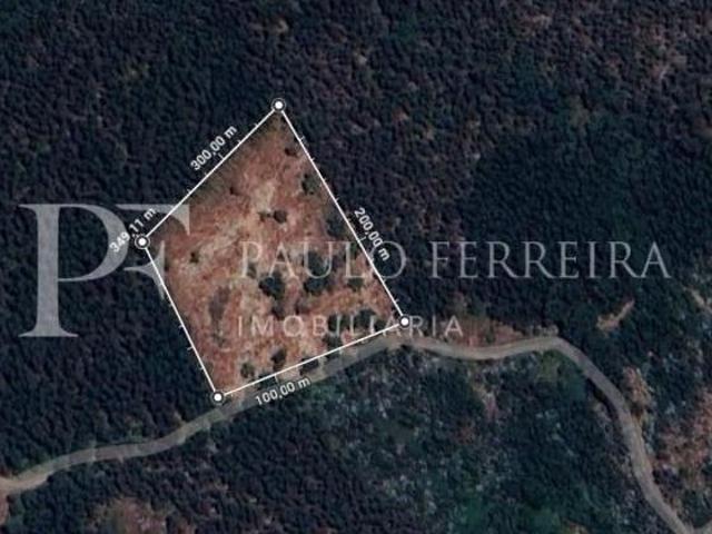 Terrenos Vila Nova de Famalicão Vila Nova de Famalicão DS99237804