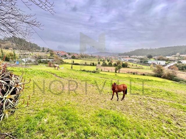Terrenos Vila Nova de Famalicão Vila Nova de Famalicão DS99472260