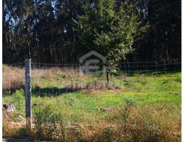 Terrenos Vila Nova de Famalicão Vila Nova de Famalicão DS101156500
