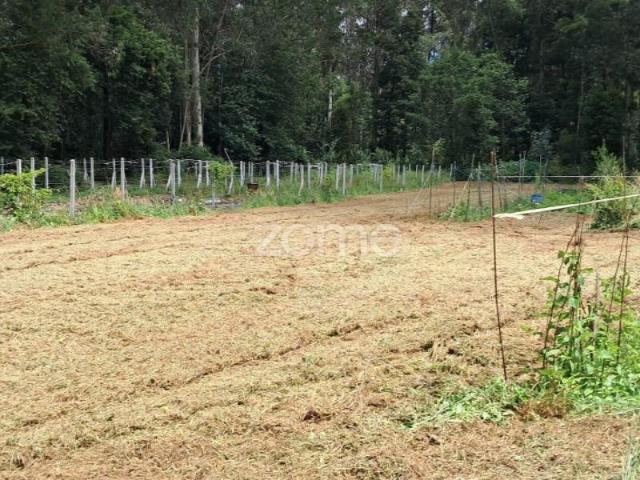 Terrenos Vila Nova de Famalicão Vila Nova de Famalicão DS102573122