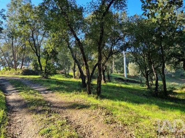 Terrenos Vila Nova De Poiares Coimbra DS98150459