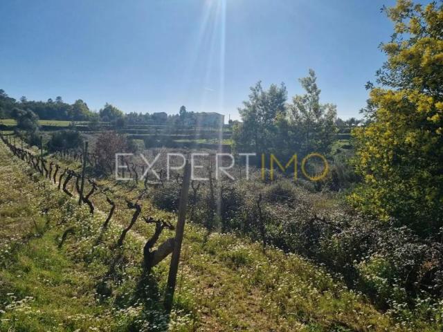 Terrenos Vila Nova de Tazem Guarda DS91598505