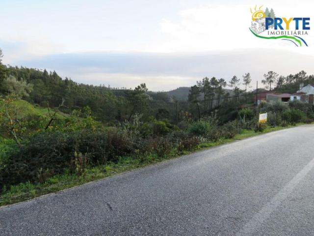 Terrenos Vila de Rei Vila de Rei DLS87496063