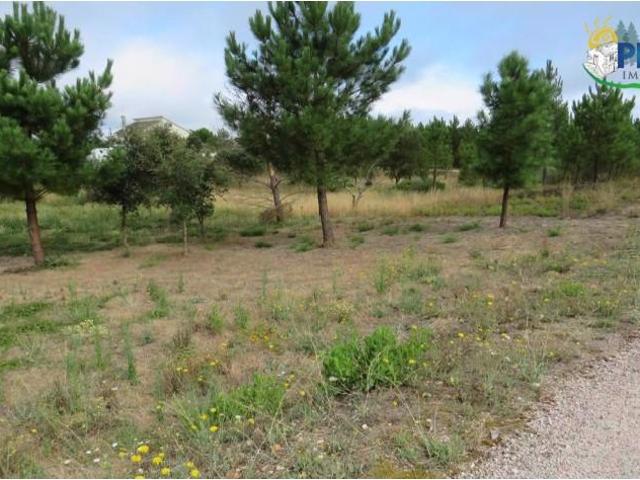 Terrenos Vila de Rei Vila de Rei DS94354974