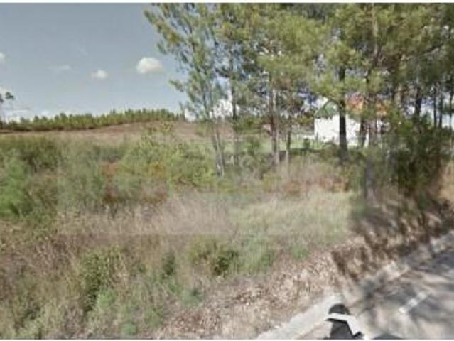 Terrenos Vila de Rei Vila de Rei DS95875729