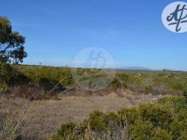 Terrenos Vila do Bispo Algarve DLS61687529