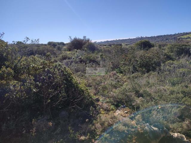 Terrenos Vila do Bispo Algarve DLS66628571