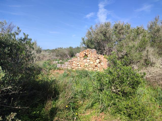 Terrenos Vila do Bispo Algarve DLS73216891