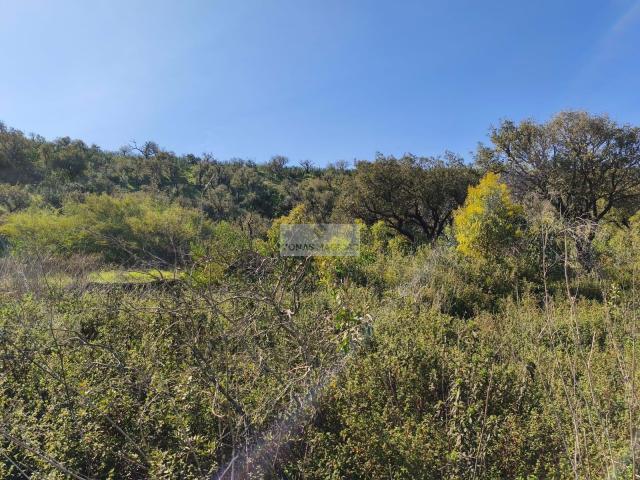 Terrenos Vila do Bispo Algarve DLS87417867