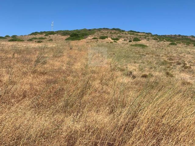 Terrenos Vila do Bispo Algarve DLS92746275