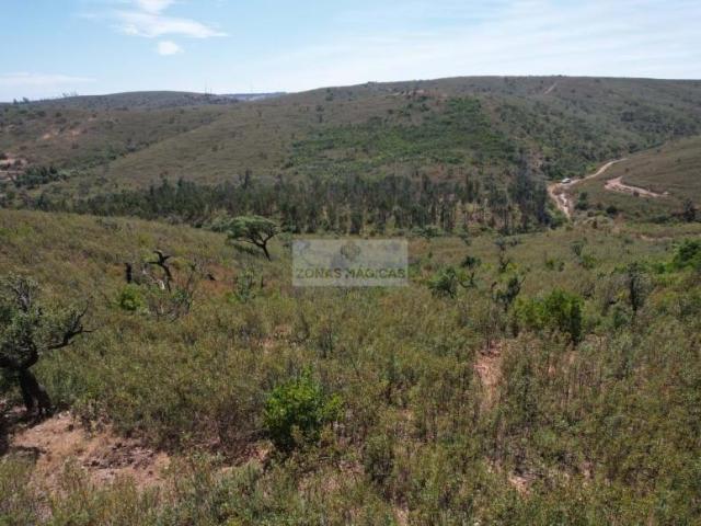 Terrenos Vila do Bispo Algarve DLS96931382